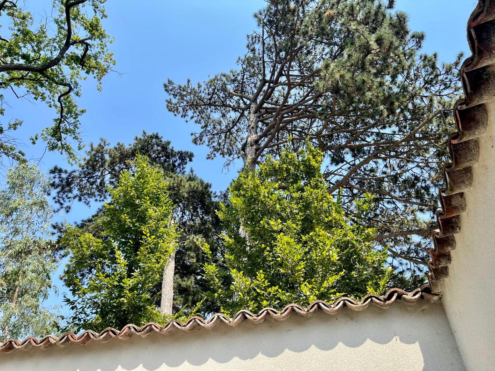 Suite de Charme Bed n Breakfast très proche Lyon Tassin-la-Demi-Lune Esterno foto